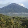 Núi lửa Kerinci trên đảo Sumatra phun trào. cnnindonesia.com)