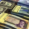 Đồng rial của Iran. (Nguồn: dw.com)