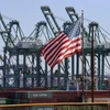 Các coantainer hàng hóa chờ bốc dỡ tại cảng Long Beach ở Los Angeles, Mỹ. (Ảnh: AFP/TTXVN) 