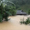 Nhiều nhà dân ở huyện Vân Hồ, tỉnh Sơn La bị ngập sâu trong nước. (Ảnh: TTXVN phát)