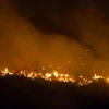 Cháy rừng ở Gran Canaria. (Nguồn: Reuters)