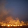 Khói lửa bốc lên ngùn ngụt từ đám cháy rừng Amazon tại Nova Santa Helena, bang Mato Grosso, Brazil. (Ảnh: AFP/TTXVN)