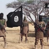 Nhóm phiến quân tại Nigeria có liên hệ với tổ chức IS. (Nguồn: saharareporters)