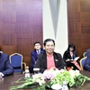 Phó Chủ tịch Thường trực Quốc hội Tòng Thị Phóng tại buổi tiếp xúc song phương. (Ảnh: Dương Trí/TTXVN)