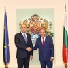 Phó Thủ tướng Thường trực Trương Hòa Bình gặp Tổng thống Bulgaria Rumen Radev. (Ảnh: Công Thuận/TTXVN)