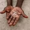 Kim cương từ Zimbabwe bị Mỹ nghi ngờ là sản phẩm do những người lao động cưỡng bức làm ra. (Nguồn: hararelive)