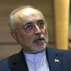 Lãnh đạo Cơ quan Năng lượng nguyên tử Iran Ali Akbar Salehi. (Nguồn: AP)