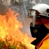 Cháy rừng ở Australia. (Nguồn: AAP)