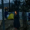 Trại tị nạn ở Hy Lạp. (Nguồn: AFP)