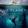 Loạt phim 'Blue Planet II' nhận giải thưởng. (Nguồn: Amazon.com)