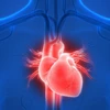Phát triển thành công phương pháp điều trị đơn giản bệnh nhân suy tim