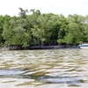 Nhiều vệt dầu loang trên sông Lòng Tàu sau vụ chìm tàu. (Ảnh: Tiến Lực/TTXVN)