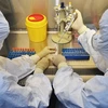 Xét nghiệm các mẫu bệnh phẩm tại phòng thí nghiệm ở tỉnh Tứ Xuyên, Trung Quốc,ngày 15/2. (Ảnh: THX/TTXVN)