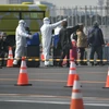 Nhân viên y tế hỗ trợ hành khách sơ tán khỏi du thuyền Diamond Princess tại cảng Yokohama. (Ảnh: AFP/TTXVN)