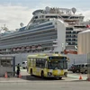 Xe buýt chở hành khách trên du thuyền Diamond Princess rời cảng ở Yokohama, Nhật Bản. (Ảnh: AFP/TTXVN)