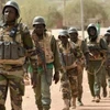 Lực lượng binh sỹ Mali. (Nguồn: africanquarters)
