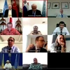 Hội đồng Bảo an Liên hợp quốc họp trực tuyến về Mali.