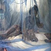 Mắc màn chống muỗi phòng bệnh sốt rét. (Nguồn: EPA/TTXVN)
