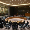 Một cuộc họp của Hội đồng Bảo an Liên hợp quốc tại New York, Mỹ. (Ảnh: AFP/TTXVN)