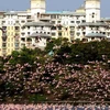 [Video] Hơn 100.000 con hồng hạc đổ bộ 'nhuộm hồng' Navi Mumbai