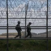 Binh sỹ Hàn Quốc tuần ra dọc hàng rào biên giới giữa hai miền Triều Tiên, tại Ganghwa, Hàn Quốc. (Ảnh: AFP/TTXVN)