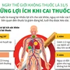 [Infographics] Cai thuốc lá mang lại nhiều lợi ích cho sức khỏe