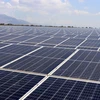 Sharp sắp đưa nhà máy điện Mặt Trời ở Việt Nam vào hoạt động