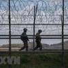 Binh sỹ Hàn Quốc tuần tra tại khu phi quân sự ở biên giới liên Triều. (Ảnh: AFP/TTXVN)