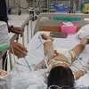 Bé Công được cấp cứu tại bệnh viện Nhi Đồng 2 trong tình trạng hôn mê sâu, nguy kịch. (Ảnh: TTXVN phát)