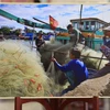 Hình cuộc sống thường nhật của ngư dân Việt Nam được giới thiệu tại triển lãm. (Ảnh: Trần Hiếu/TTXVN)