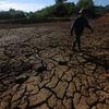 Hồ trữ nước tại xã Hương Đô, huyện Hương Khê, tỉnh Hà Tĩnh, cạn khô nứt nẻ. (Ảnh: Duy Khương/TTXVN)