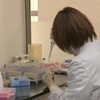 [Video] Thuốc đuổi côn trùng có thể diệt virus SARS-CoV-2