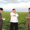 Nhà lãnh đạo Triều Tiên Kim Jong-un (giữa) thăm khu vực bị ảnh hưởng do bão tại tỉnh Nam Hwanghae, Triều Tiên. (Ảnh: Yonhap/TTXVN)
