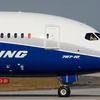 Máy bay Boeing 787 Dreamliner. (Nguồn: AP)