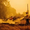 Cảnh đổ nát sau vụ cháy rừng tại Oregon, Mỹ, ngày 10/9/2020. (Ảnh: AFP/TTXVN)