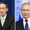 Lãnh đạo Nhật Bản-Nga lần đầu điện đàm, thảo luận các vấn đề tồn đọng