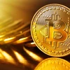 Tiền điện tử Bitcoin có thể tăng lên 100.000 USD/bitcoin vào năm 2025