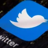 Bầu cử Mỹ: Twitter thông báo đã chặn một số tài khoản giả mạo 