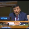 Việt Nam cam kết đóng góp tích cực vào các hoạt động gìn giữ hòa bình