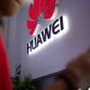 Nhật Bản, Hàn Quốc có thể không cấm Huawei theo yêu cầu của Mỹ