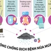 [Infographics] Chủ động phòng chống dịch bệnh trong mùa mưa lũ