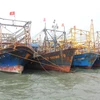 Tàu vỏ thép neo đậu tránh bão số 9 ở cảng cá Đề Gi, huyện Phù Cát. (Ảnh: Nguyên Linh/TTXVN)