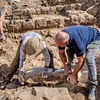 Phát lộ phiến đá đánh dấu ranh giới có niên đại 1.700 năm ở Israel