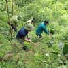 Hỗ trợ người dân tham gia trồng rừng nhằm tăng trữ lượng và chất lượng