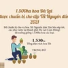 [Infographics] 1.500ha hoa Đà Lạt chuẩn bị cho dịp Tết Nguyên đán