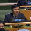 Việt Nam ủng hộ Hội đồng Bảo an tăng cường hợp tác với Tòa án Quốc tế 