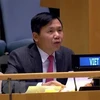 Việt Nam ủng hộ hoạt động của Phái bộ gìn giữ hòa bình tại Nam Sudan