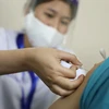 Đã có 522 người tiêm vaccine, có 5 trường hợp được theo dõi xử lý