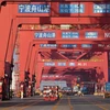 Quang cảnh cảng hàng hóa tại Ninh Ba, tỉnh Chiết Giang, Trung Quốc, ngày 19/2. (Ảnh: THX/TTXVN)