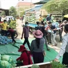 Vận chuyển gạo hỗ trợ cho cộng đồng người gốc Việt tại tỉnh Prey Veng. (Ảnh: Trần Long/TTXVN)
